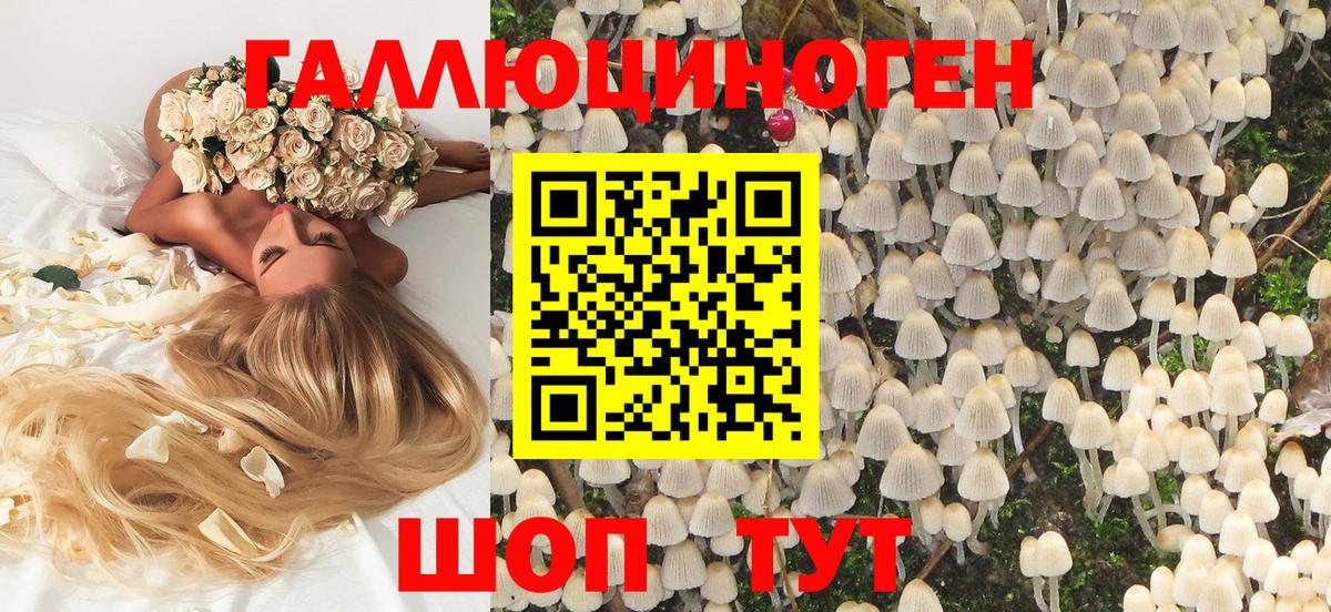 Галлюциногенные грибы мицелий Нижнеудинск